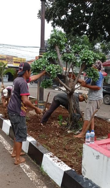 JASA LANDSCAPE TAMAN